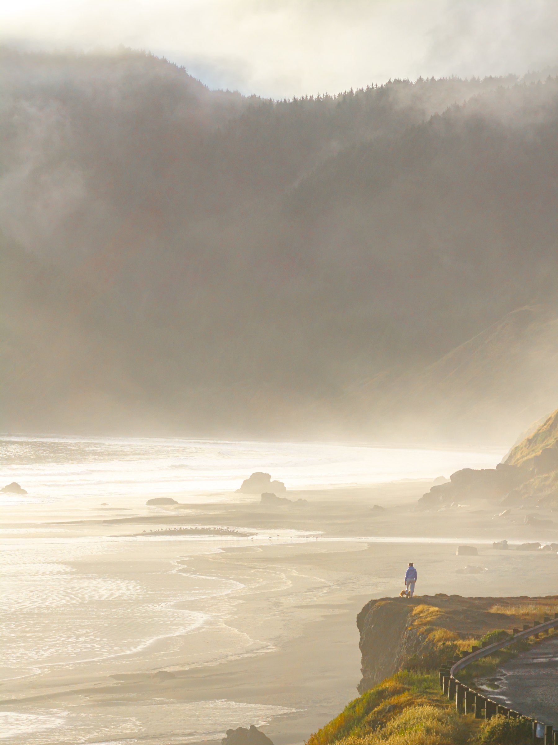 Hiker standing on a grassy bluff above a misty beach and sea stacks in golden evening light on the southern Oregon coast